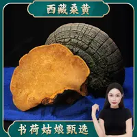 书荷姑娘西藏桑黄250g 灵芝林芝煮水煲汤泡酒食用 中个大个