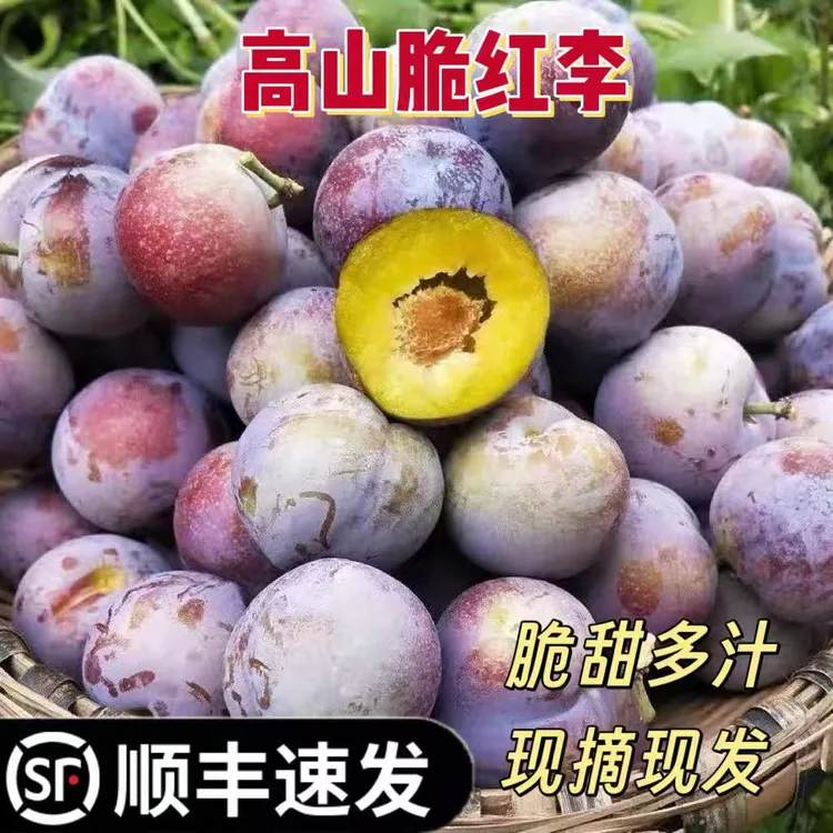 【顺丰】四川高山脆红李当季新鲜脱骨李脆甜多汁现摘现发3斤/4.5斤