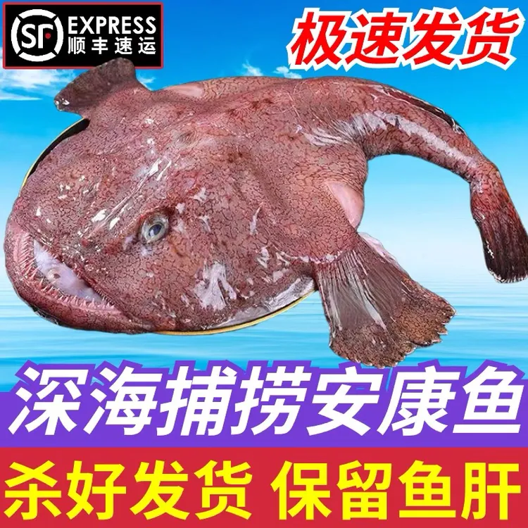 专享安康鱼新鲜蛤蟆鱼魔鬼鱼刺深海特大鲜活鱼肝鱼肚海鲜水产冷冻