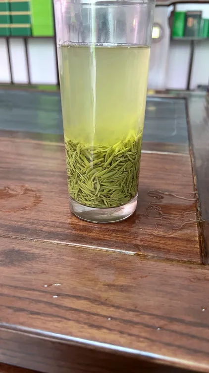 信阳毛尖核心产区高山明前小芽