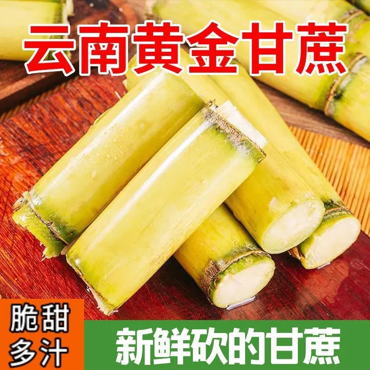 正宗云南黄金甘蔗当季黄皮甘蔗青皮绿皮新鲜水果甘蔗爆甜整箱批发