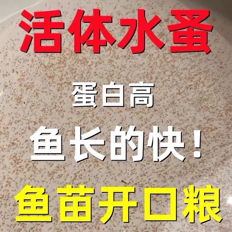 微型水蚤好养繁殖培养鱼食蹦蹦红虫斗鱼孔雀鱼苗开口饲料活性水蚤