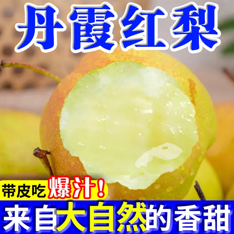 【头茬精品】正宗山西运城丹霞红香梨酥脆爽口爆甜当季新鲜水果精品