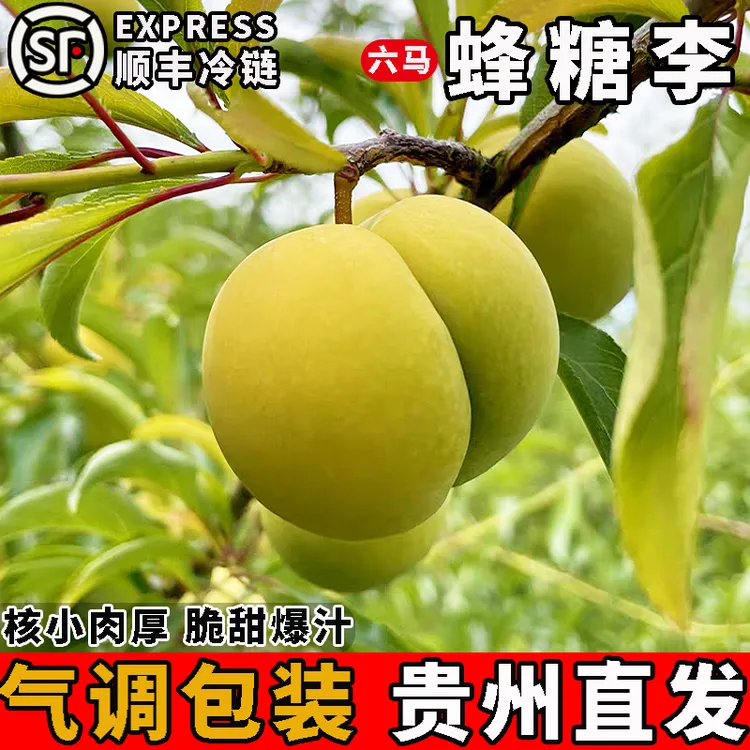 气调锁鲜+顺丰冷链 正宗贵州镇宁六马蜂糖李子新鲜当季孕妇水果