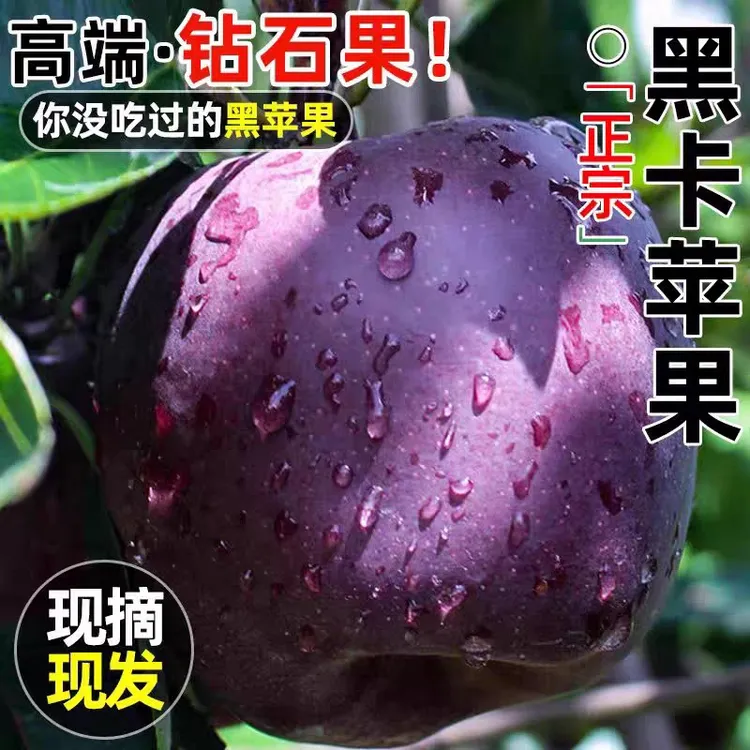 【精品装】正宗黑钻苹果黑卡苹果当季新鲜水果纯甜冰糖心脆面两吃
