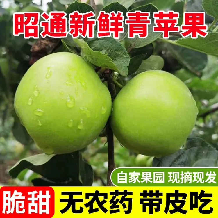 云南高山新鲜青香蕉苹果新鲜采摘脆甜多汁孕妇小孩农家原产地直发