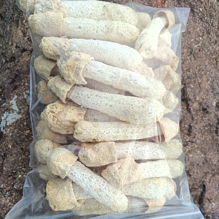【露丝同款】竹荪干货无硫无添加新鲜竹笙菇煲汤火锅食材当季新货
