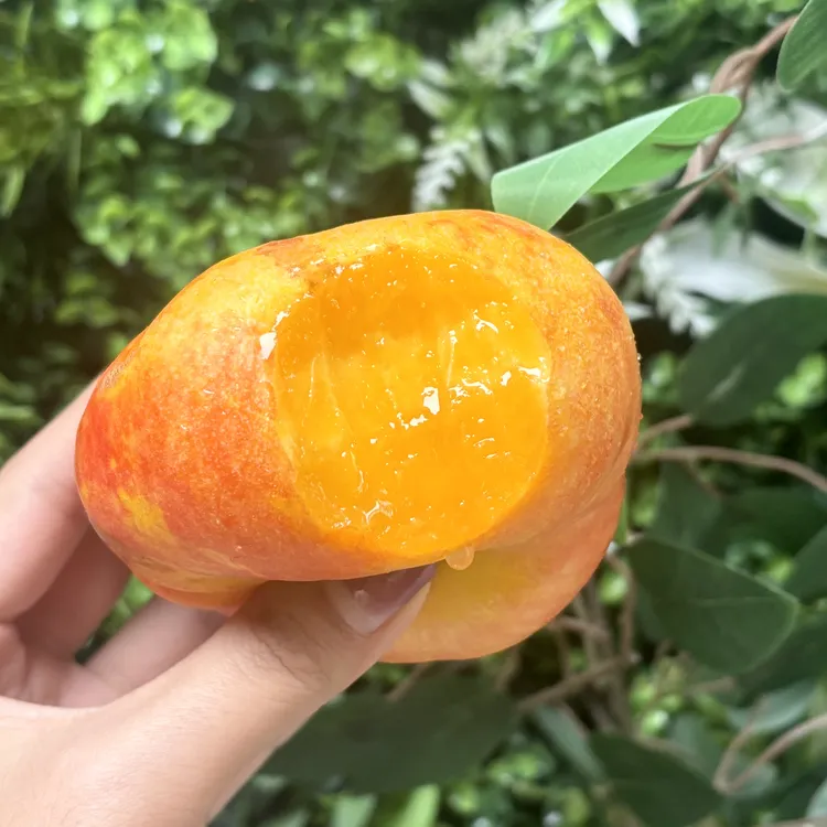 彩虹蟠桃纯甜桃味儿足微软就爆汁桃香四溢肉厚核小顺丰