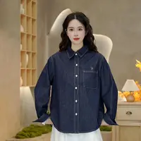 3924秋季新款刺绣小马衬衫宽松减龄显瘦气质长袖上衣女