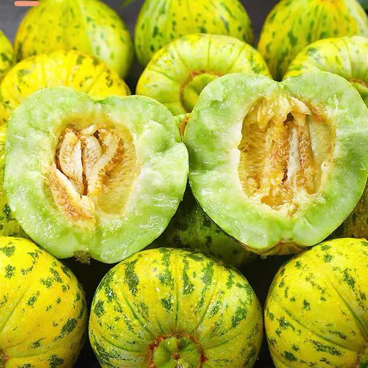 山东花美人甜瓜新鲜应季现发香瓜蜜瓜3/4.5斤商品图