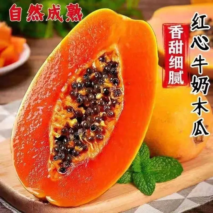 【树上熟】海南红心木瓜牛奶果皮薄多汁新鲜孕妇水果清甜香产地直发