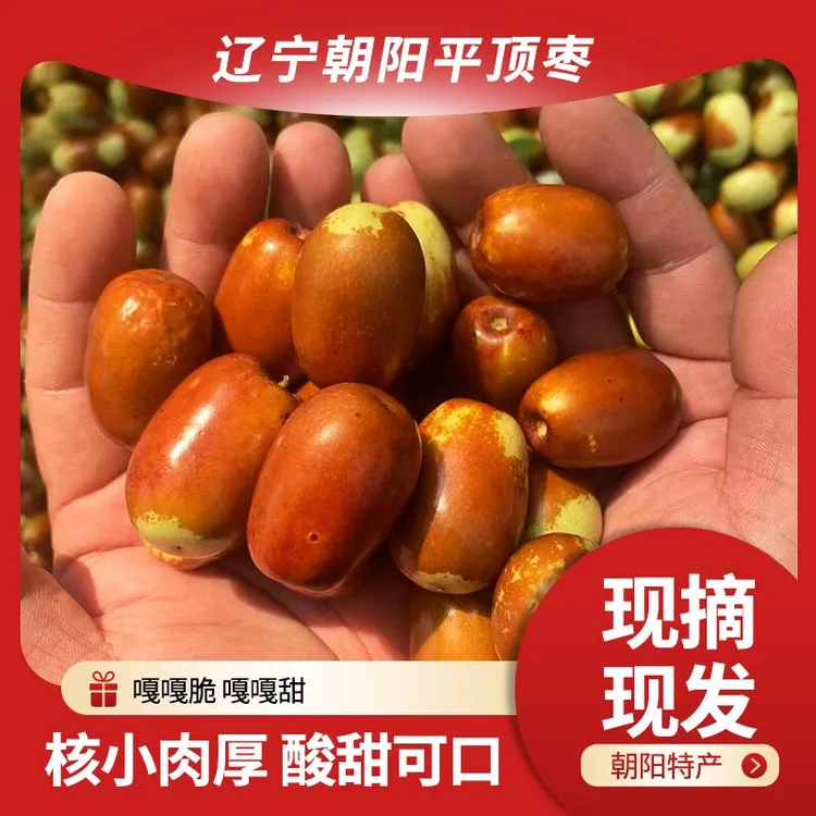 正宗朝阳大枣孙家湾平顶枣酸甜可口现采现摘新鲜脆爽大枣产地直发