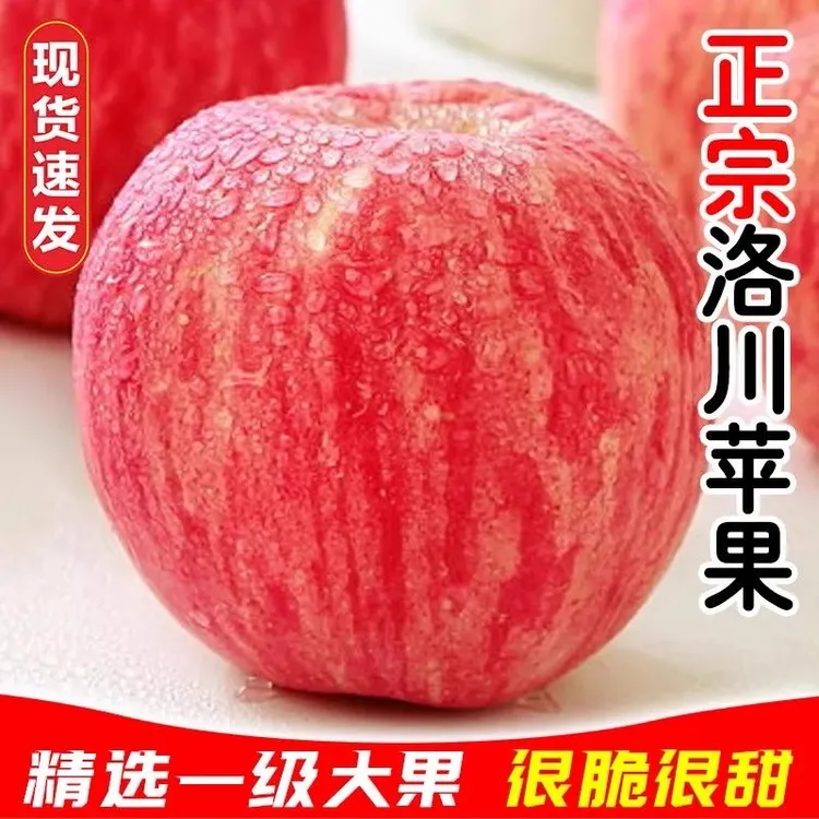 【京东包邮】2025年陕西洛川苹果现摘现发红富士脆甜多汁孕妇水果DD