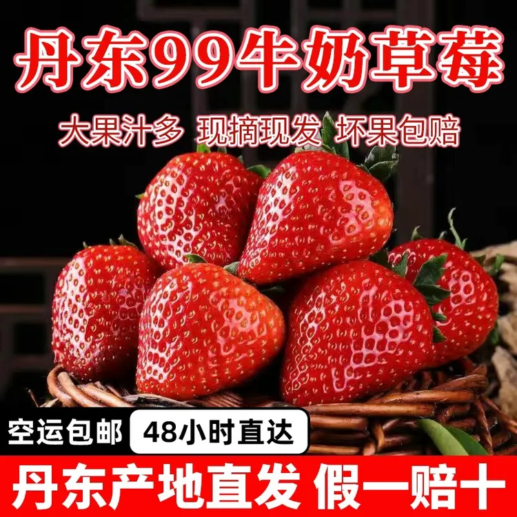 丹东99草莓新鲜东港牛奶大草莓现摘现发孕妇宝宝当季水果整箱包邮