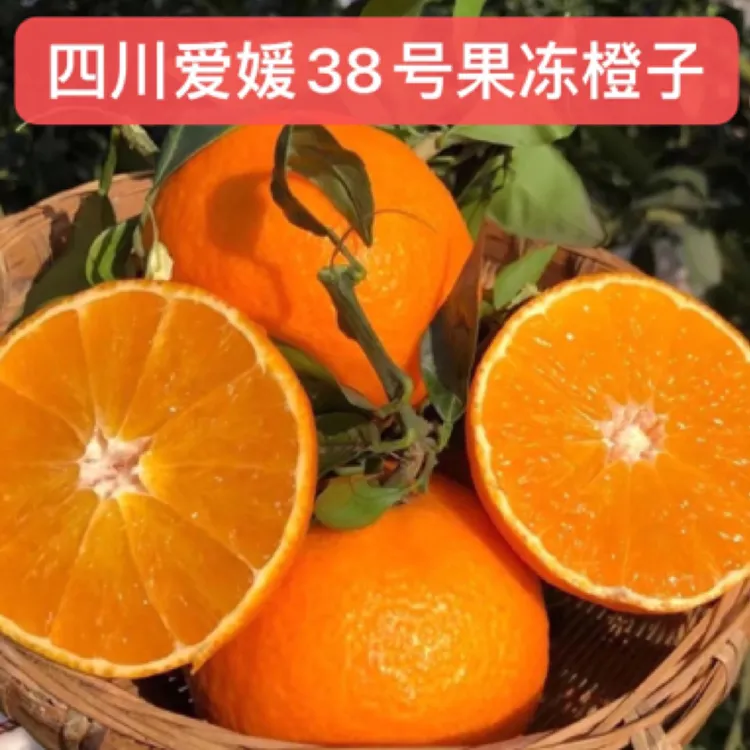 四川爱媛38号果冻橙当季水果现摘清甜爆汁手剥橙子4.5斤8斤包邮