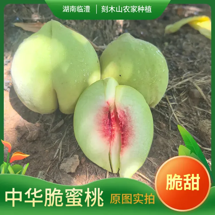 中华脆蜜桃湖南刻木山特产原产地现采现发脆甜爽口