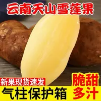 （送削皮刀） 正宗云南天山雪莲果净重5-9斤装现挖低糖水果清甜H