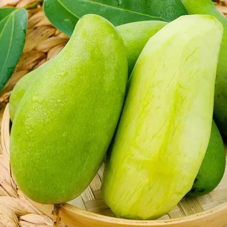 广西新鲜大青芒果青皮网红酸嘢芒果生熟两吃热带应季孕妇水果5斤