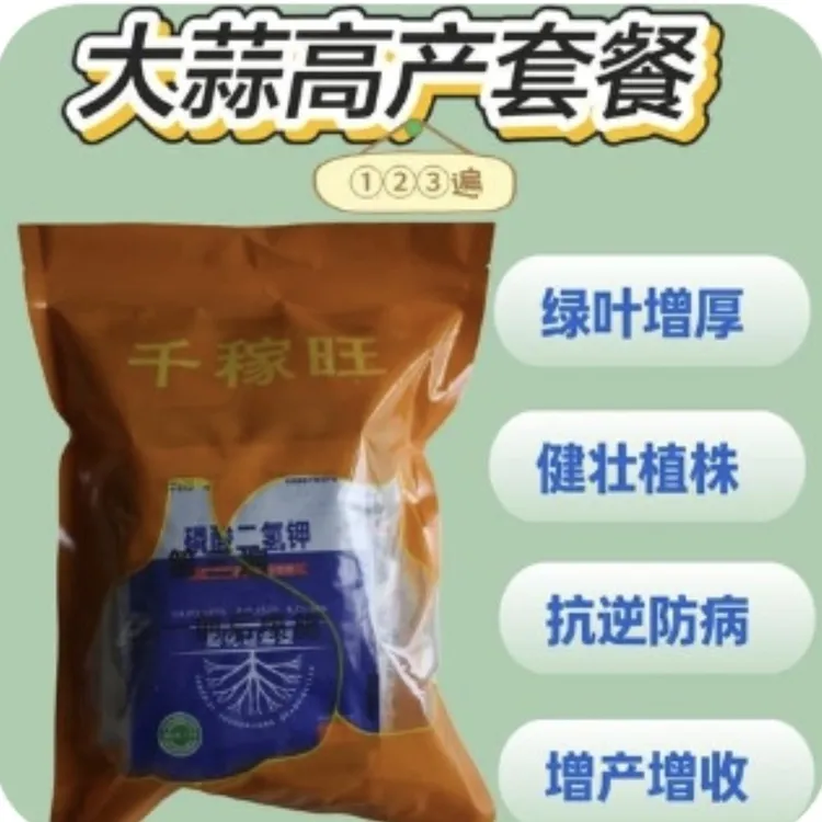 大蒜三遍高产套餐生根壮苗膨果抗病增产提质