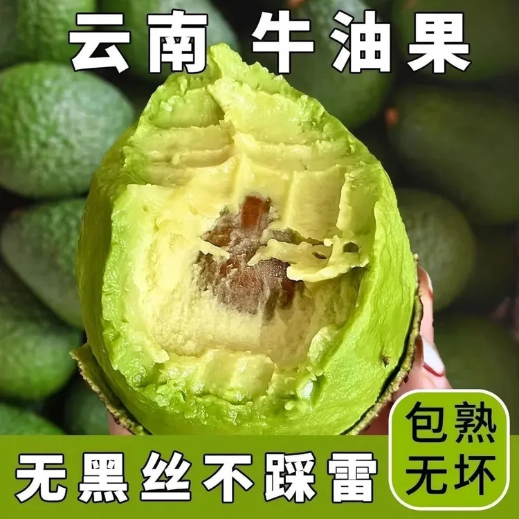 正宗云南哈斯牛油果新鲜大果孕妇宝宝辅食低脂轻食森林奶油鳄梨