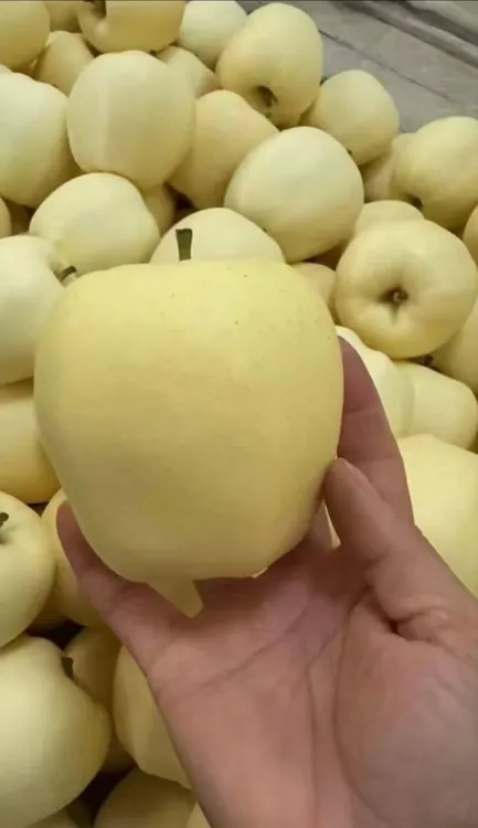 栖霞奶油富士苹果新鲜水果脆甜多汁当季热卖萍果鲜生红富士苹果