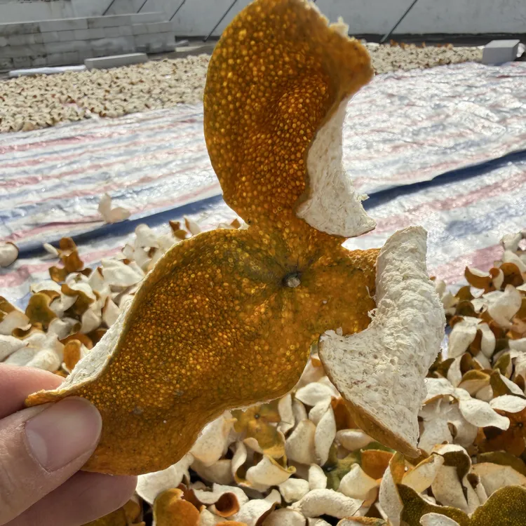 【梅江大红】2025年新会梅江老树圈枝大红皮陈皮天然生晒花蜜香柑香