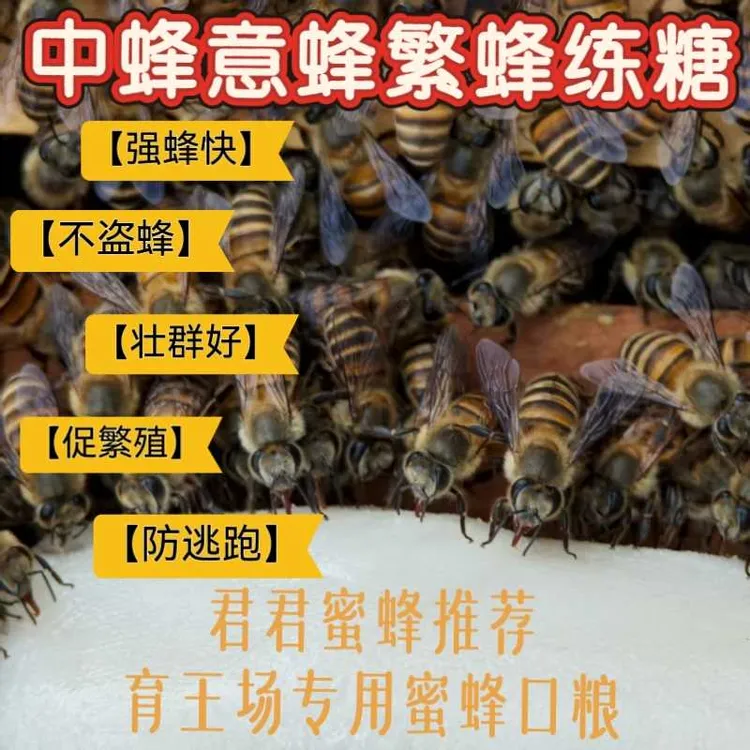 中蜂意蜂专用繁蜂饲料炼糖，自封袋，袋装，外加制作炼糖技术。