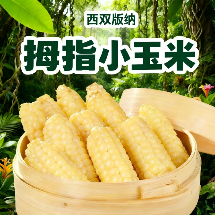 云南版纳傣家拇指香糯手指玉米宝宝小玉米软糯营养香甜婴儿早餐
