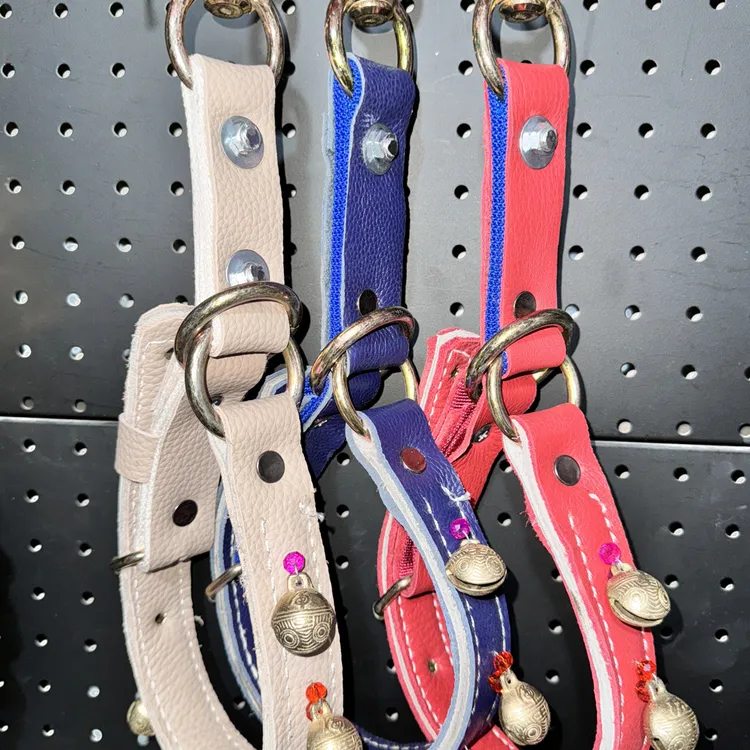 一拉进新款牛皮脖套，3公分宽大小能调节狗脖套سىرما تاسما