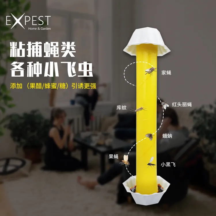 苍蝇贴强力粘蝇纸灭苍蝇家用EXPEST苍蝇捕捉器室内苍蝇神器粘虫