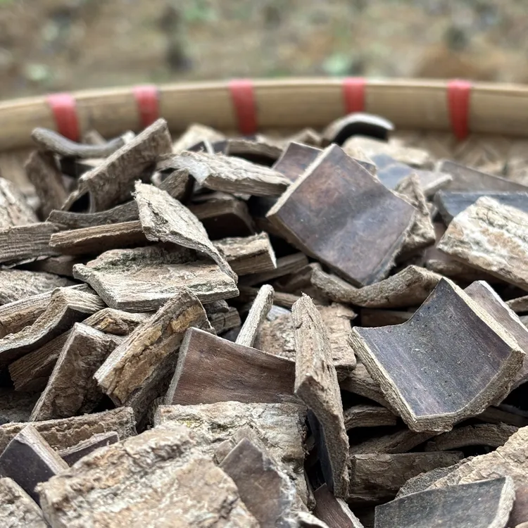 贵州杜仲（20年）  可泡酒泡水煮水煲汤