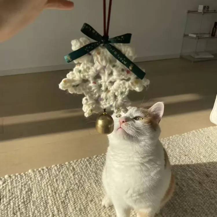 【艺凡】毛线钩针圣诞节雪花挂件手工编织DIY材料汽车挂件