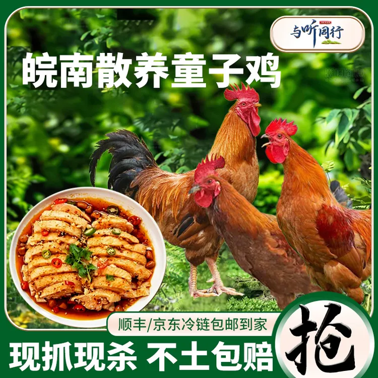 【孩子爱吃童子鸡X】与听同行高山散养整鸡拍2只发3只 包冰率不含冰