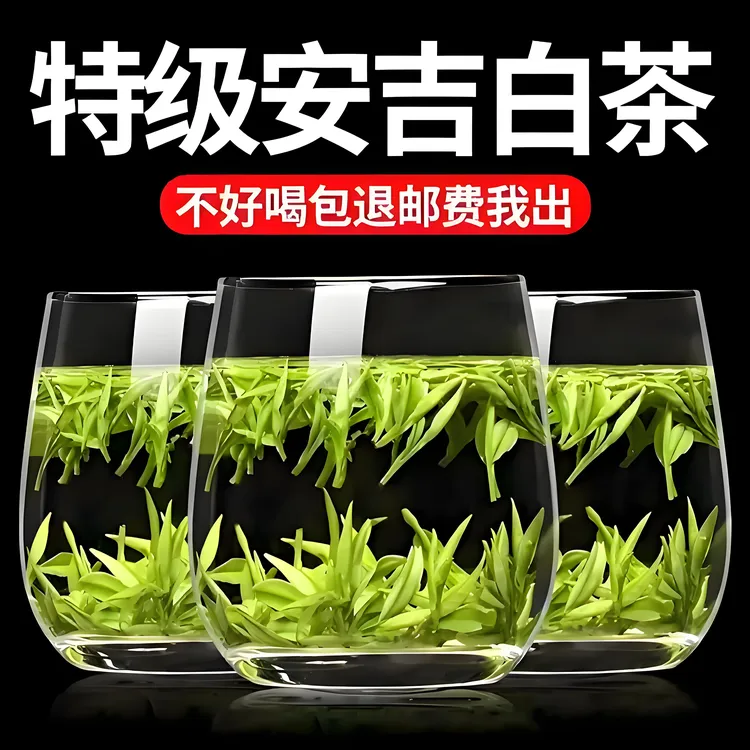 【买一斤送杯子】浙江白茶2025新茶安吉白茶兰香绿茶新茶2025新茶