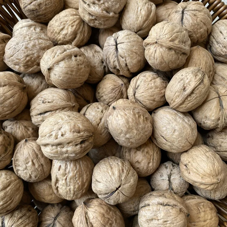 涉县薄皮核桃太行山特产农家核桃孕妇儿童坚果零食产地直发