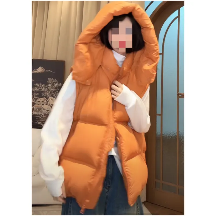 2025冬季新款连帽百搭纯色时尚气质极简保暖厚款棉服马甲上衣女