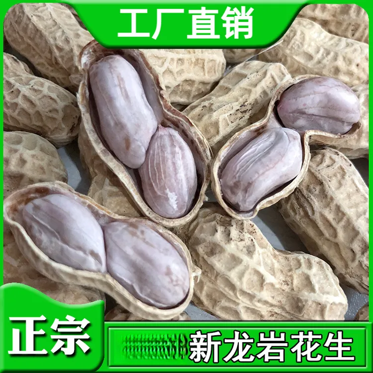 正宗新龙岩花生水煮白晒盐水咸干蒜香五香湿烤花生坚果下酒菜小吃