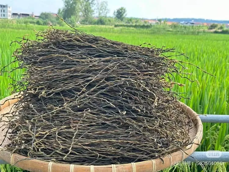 东北农村手工晾晒豇豆角干包邮