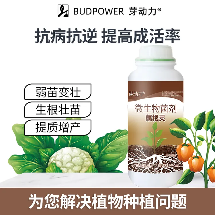 芽动力蘸根灵蘸根扦插移植定植提高成活出苗齐出苗壮水溶农资肥料