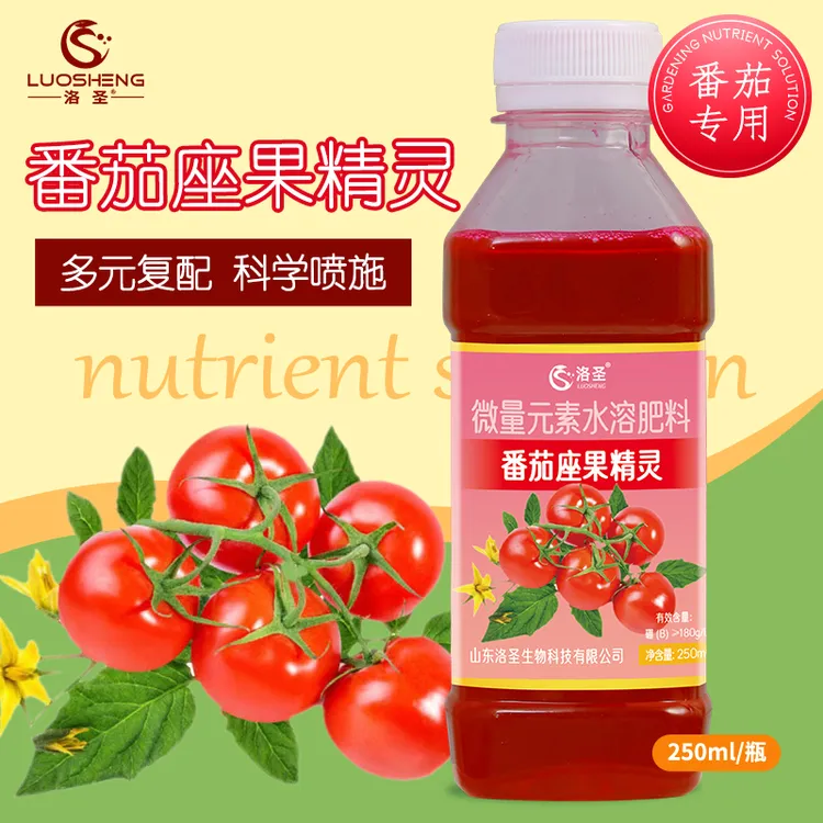 番茄座果精灵防落花成熟栽培提高座果率营养液