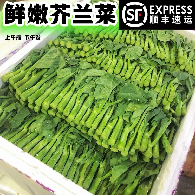 顺丰包邮新鲜芥兰菜农产当季脆嫩绿叶甘蓝广东小芥蓝现摘农家蔬菜