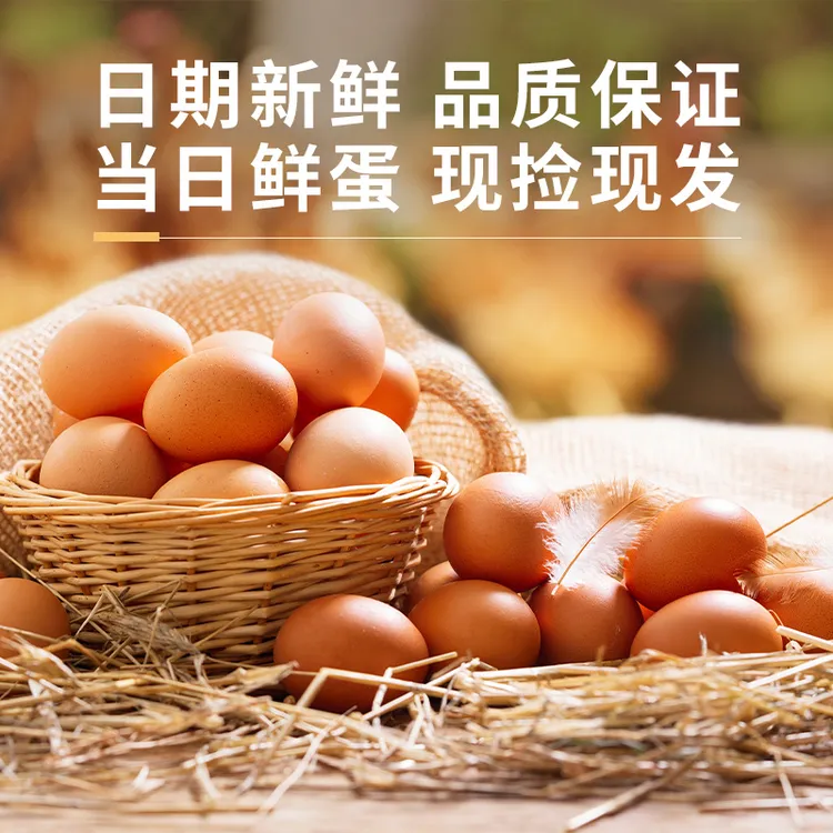 【顺丰包邮】百冠山30枚富硒无抗可生食新鲜鸡蛋无菌初生礼盒装