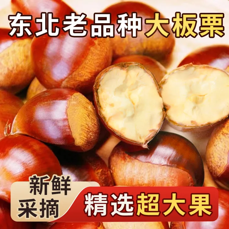 【精选超大果】东北老品种大板栗（四斤送一斤）到手五斤--