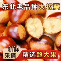 【精选超大果】东北老品种大板栗（四斤送一斤）到手五斤