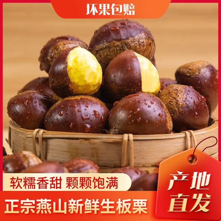 【精品老树板栗】正宗迁西板栗燕山板栗京东生板栗香甜软糯好剥皮