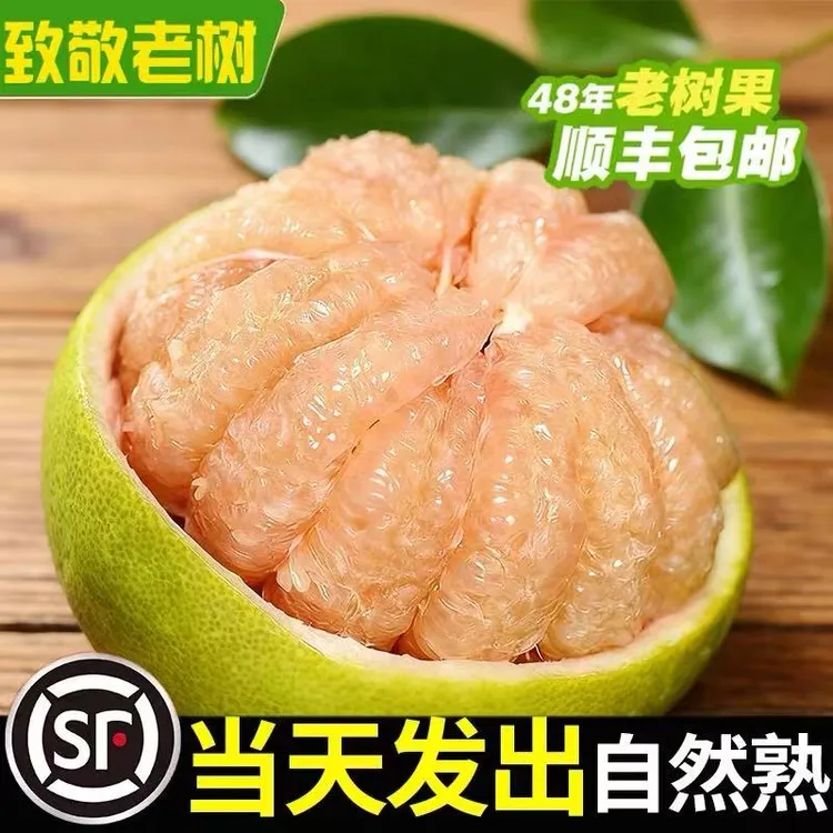 正宗仙游度尾文旦柚子福建莆田特产当季孕妇新鲜红心水果老树果