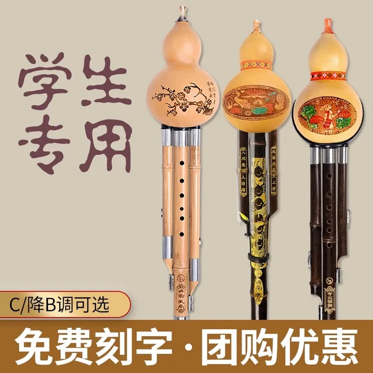 葫芦丝乐器初学者C调降B调F调防摔入门儿童小学生专用七孔紫竹