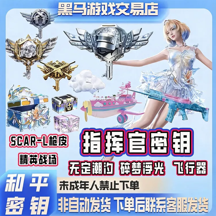 和平精英战场指挥官特种兵隐藏款密钥碎梦浮光珍宝礼盒未成年禁购