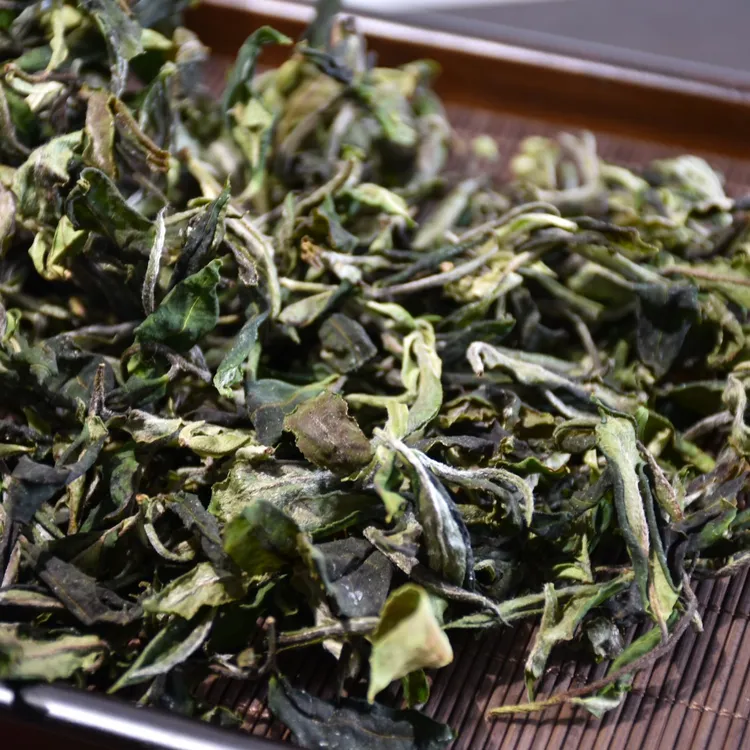 2024年云南古树白茶