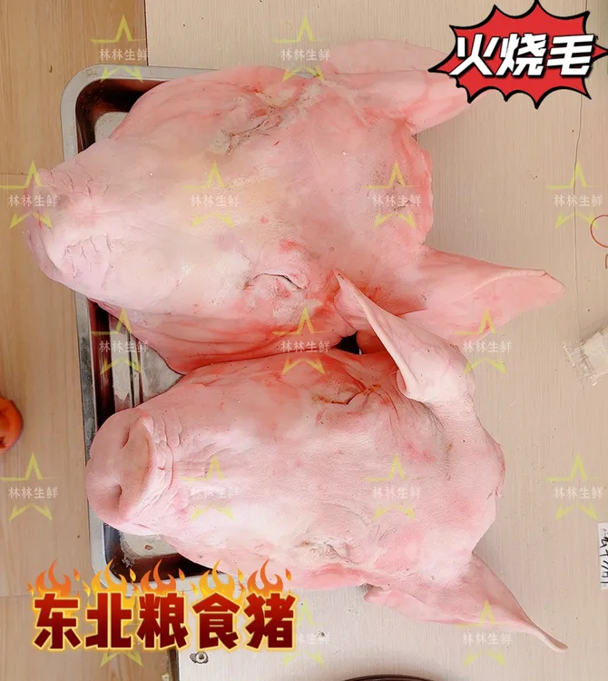 生猪头-东北纯粮笨猪头-烤完劈开发货（到手12-16斤）